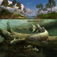 Devonian Mural from the Field Museum of Natural History in Chicago showing a tetrapod near the surface of the water
